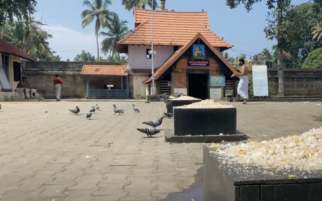 One of the Most Ancient Temples of South India